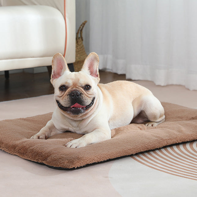 Warm Mat for pets