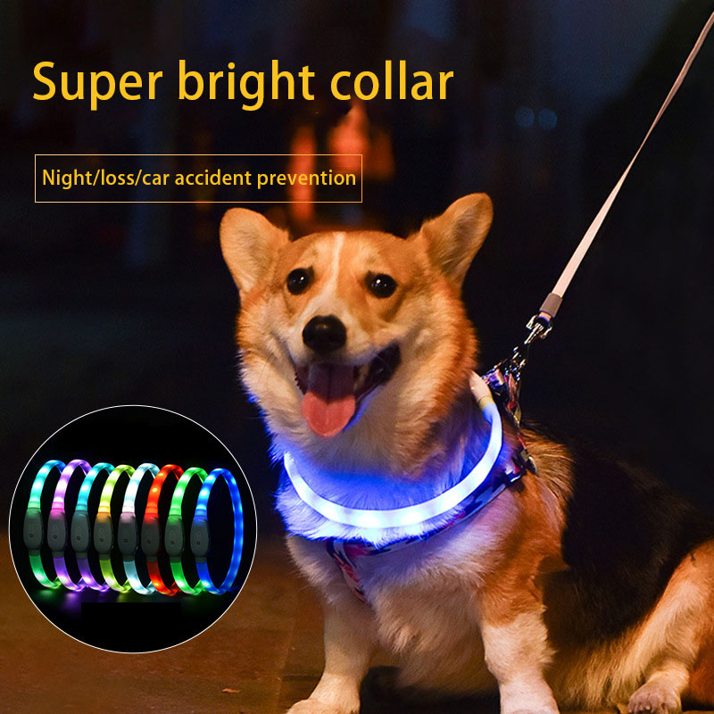 LED dog collar with USB charging and multicolor glow for safe night walks.