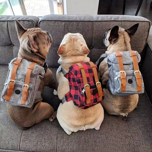 Portable Backpack for Small Dogs by eprolo