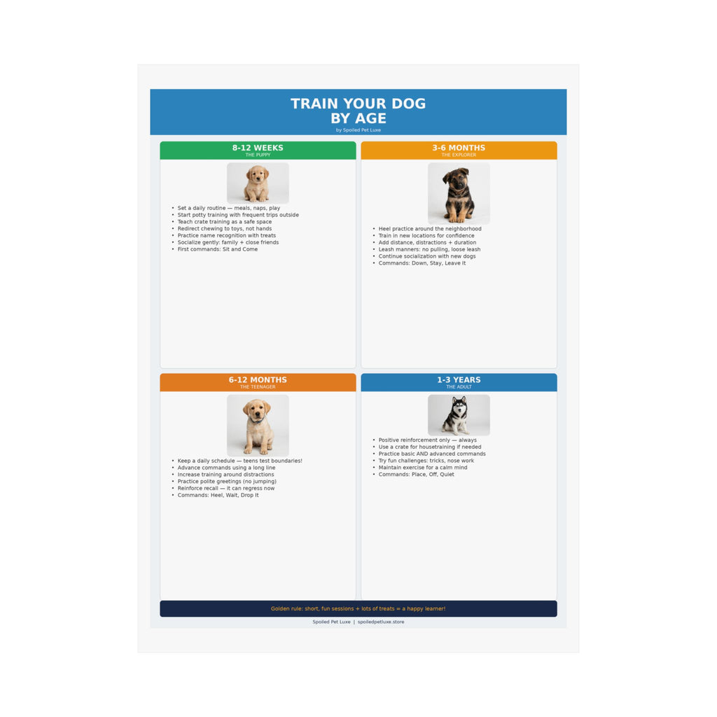 Train Your Dog By Age Poster