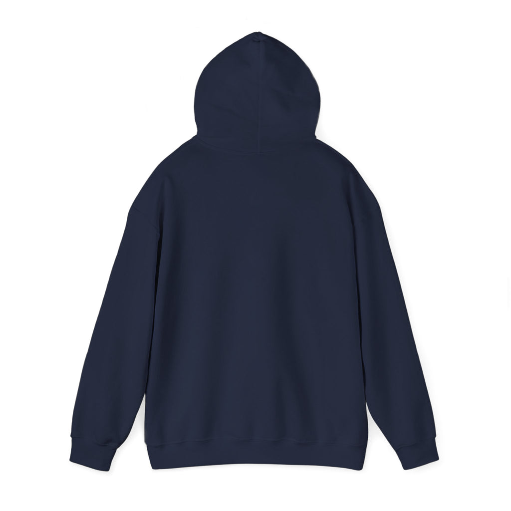 Born to Play Pool Hoodie, Flaming 8 Ball Billiards Sweatshirt | Spoiled Pet Luxe