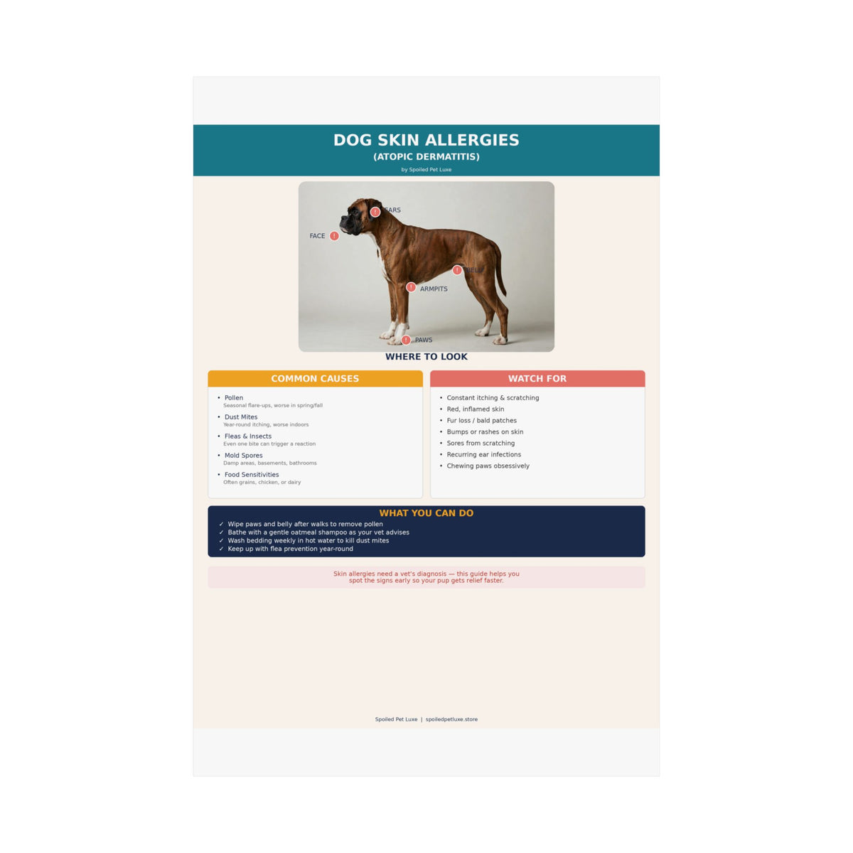 Dog Skin Allergy Guide Poster