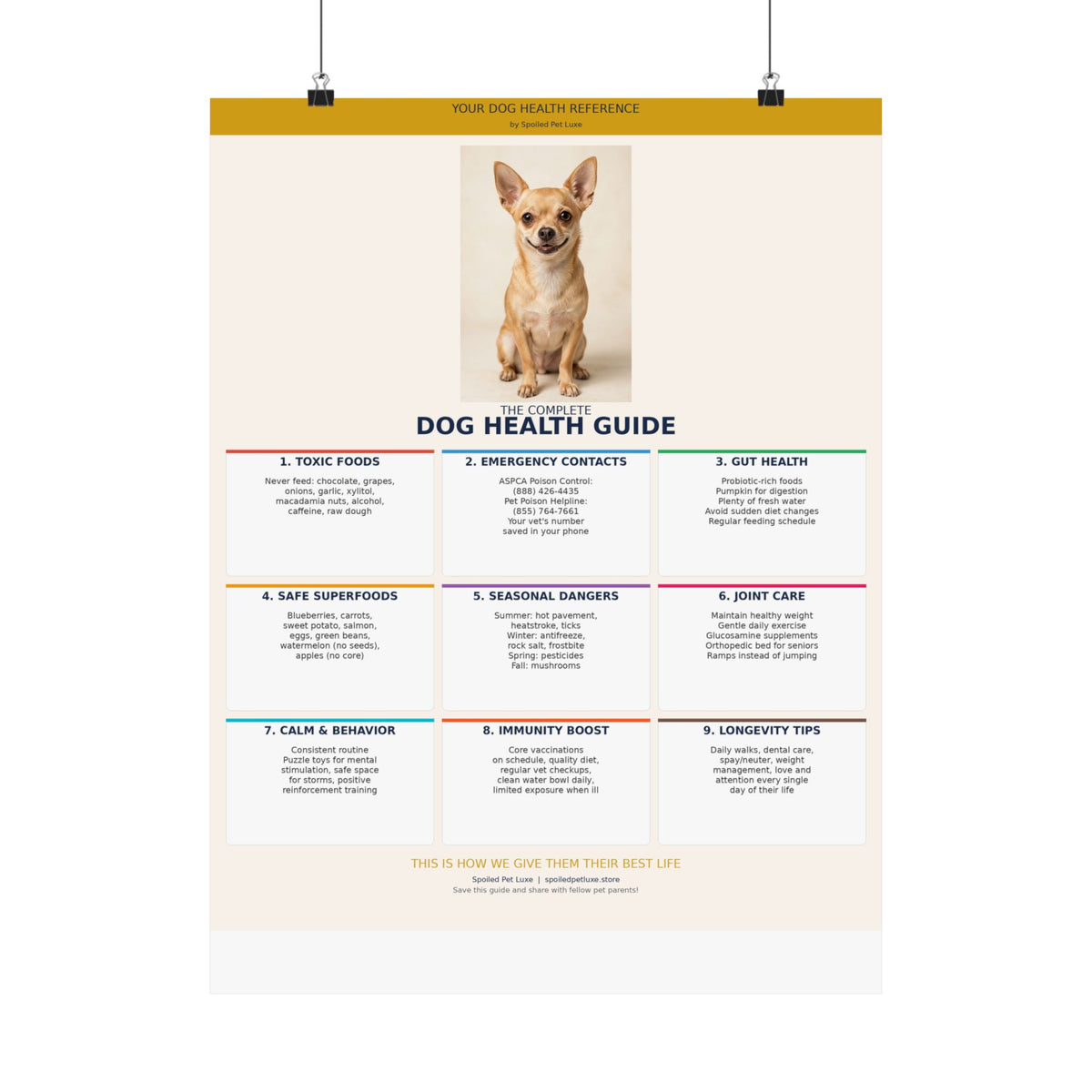 Dog Health Reference Guide Poster - Chihuahua Edition