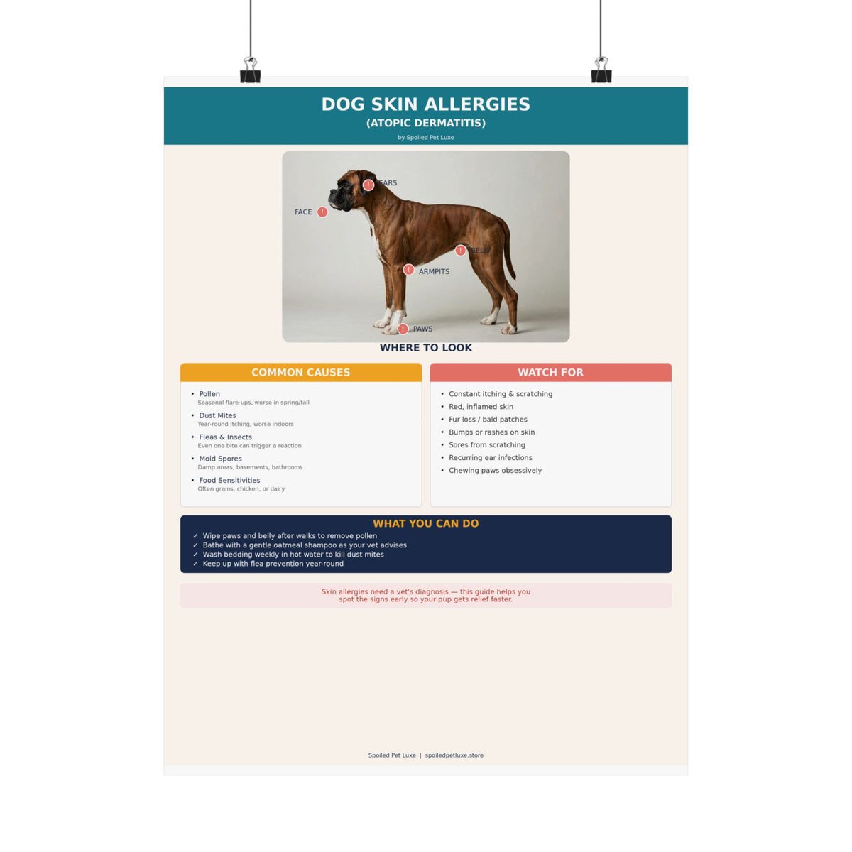 Dog Skin Allergy Guide Poster