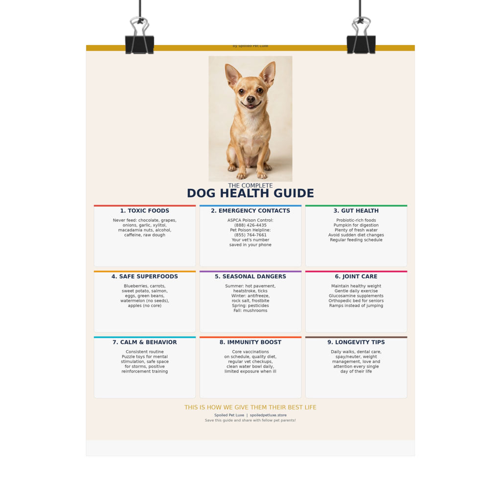 Dog Health Reference Guide Poster - Chihuahua Edition