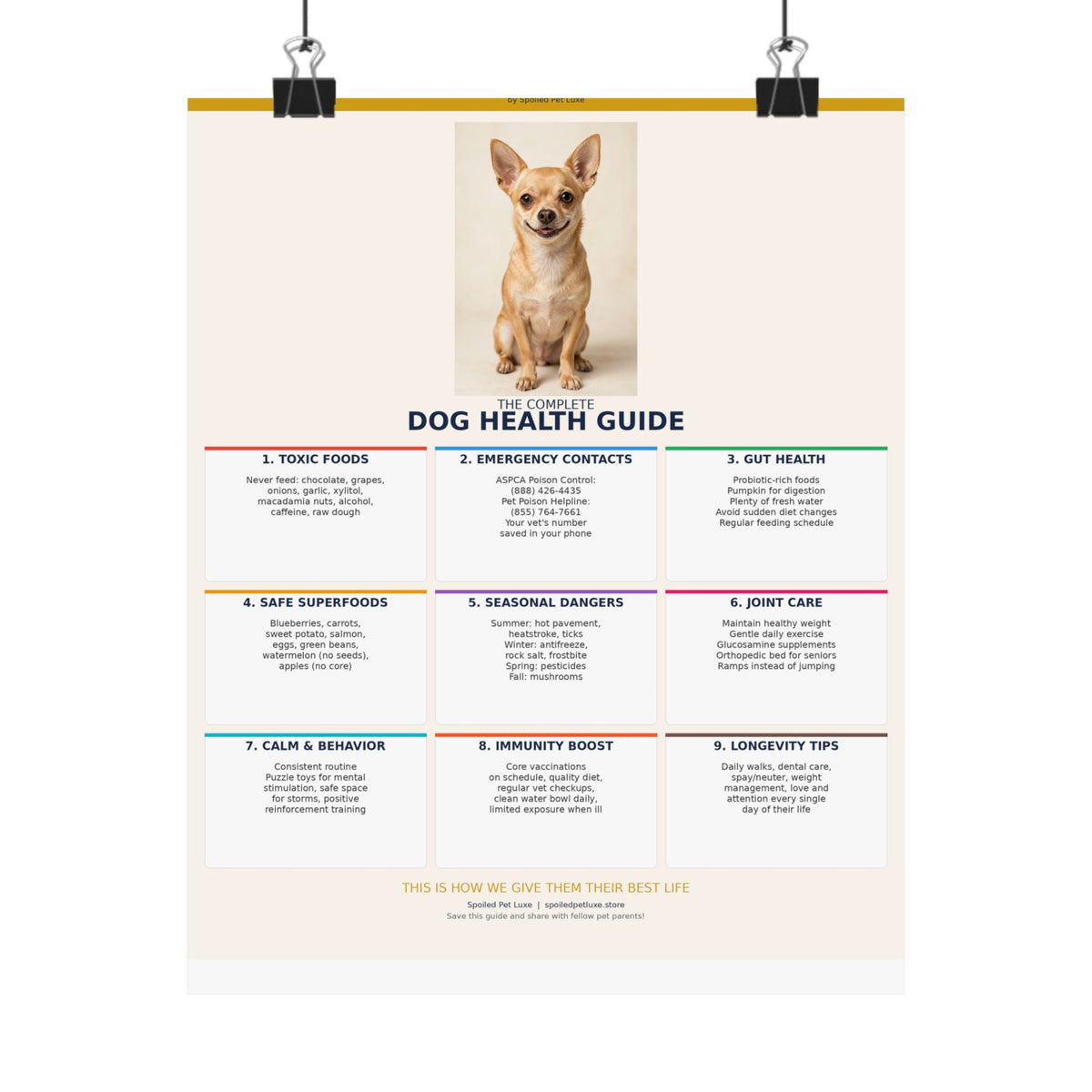 Dog Health Reference Guide Poster - Chihuahua Edition