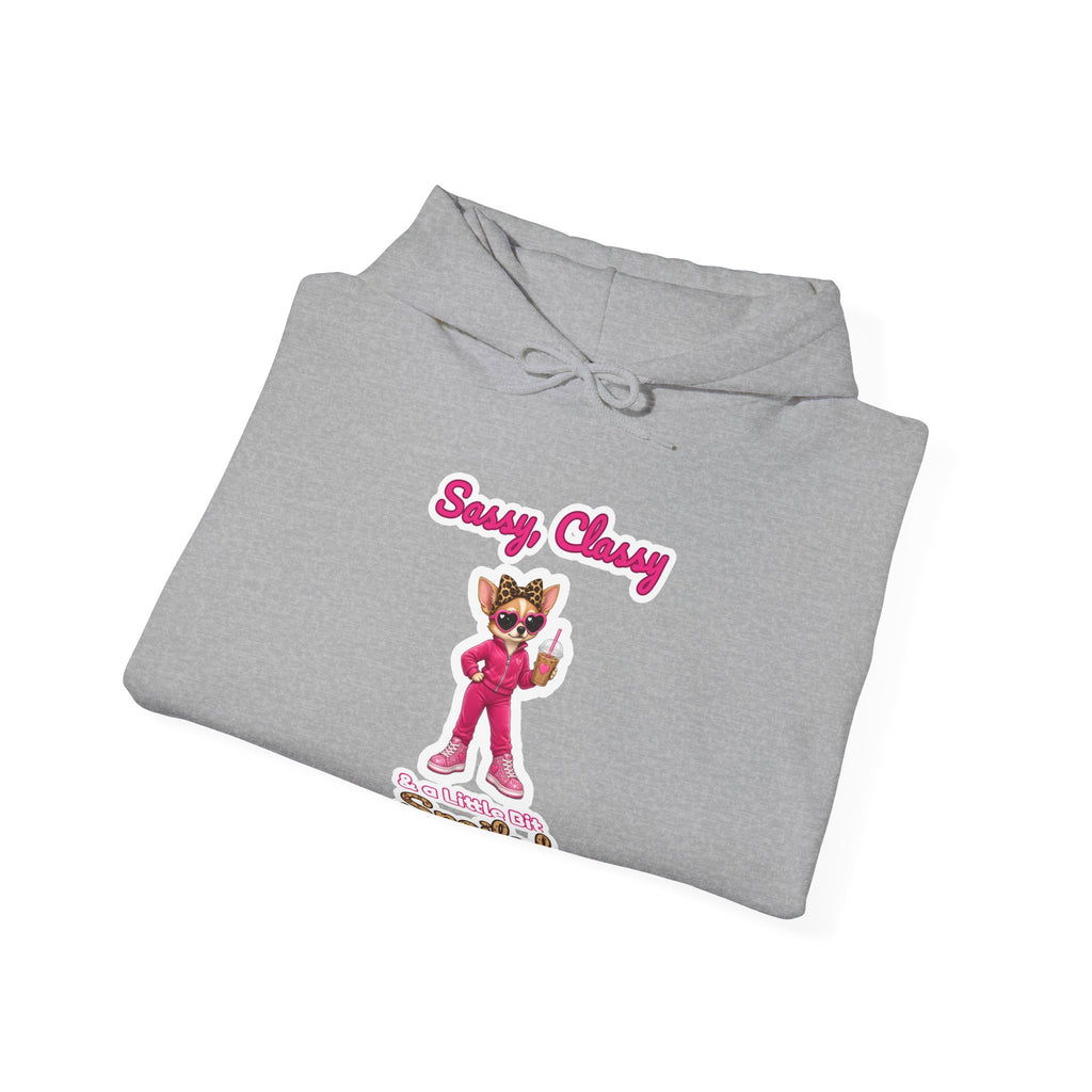 Sassy, Classy & a Little Bit Spoiled Pullover Hoodie | Spoiled Pet Luxe