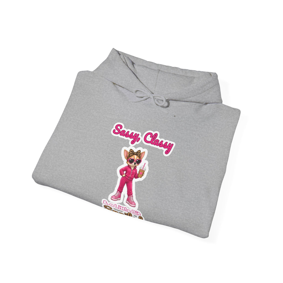 Sassy, Classy & a Little Bit Spoiled Pullover Hoodie | Spoiled Pet Luxe