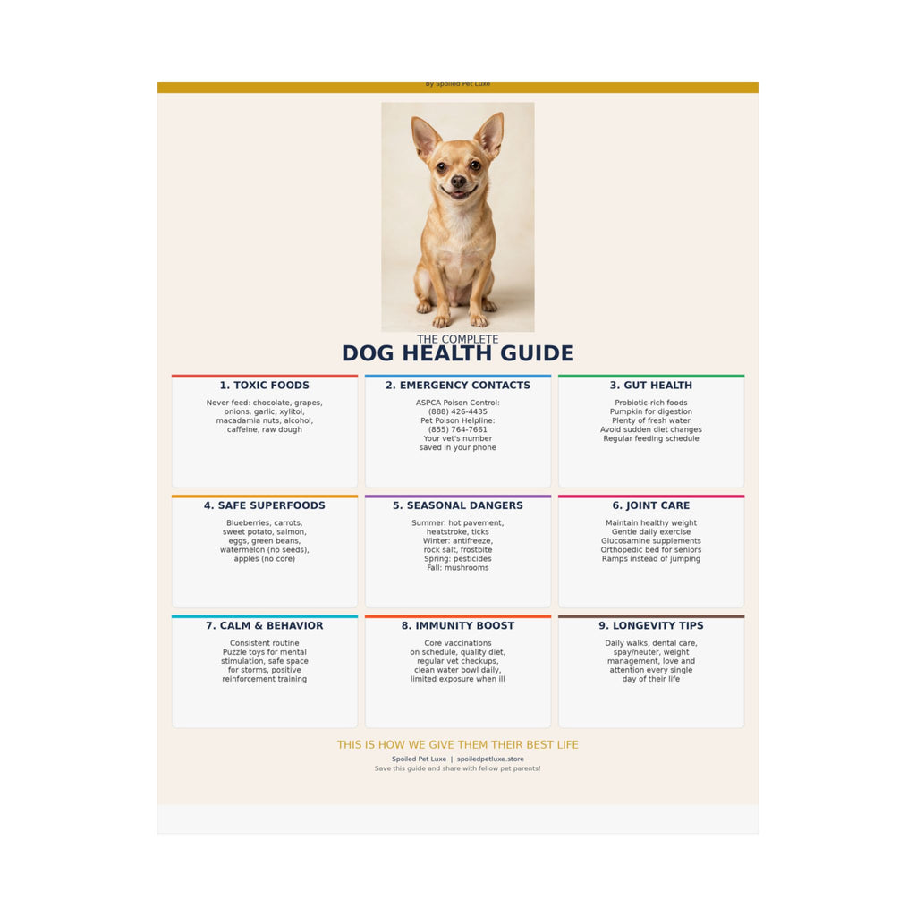 Dog Health Reference Guide Poster - Chihuahua Edition