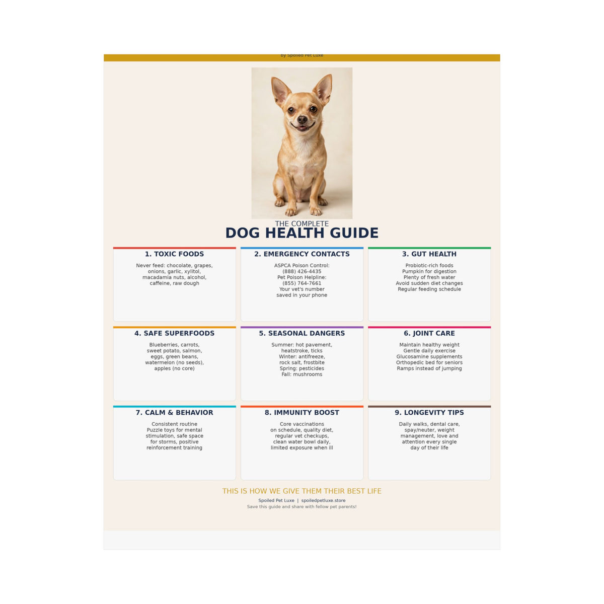 Dog Health Reference Guide Poster - Chihuahua Edition