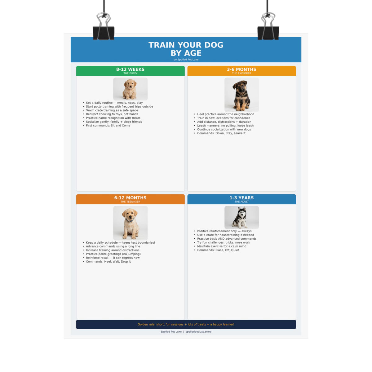 Train Your Dog By Age Poster