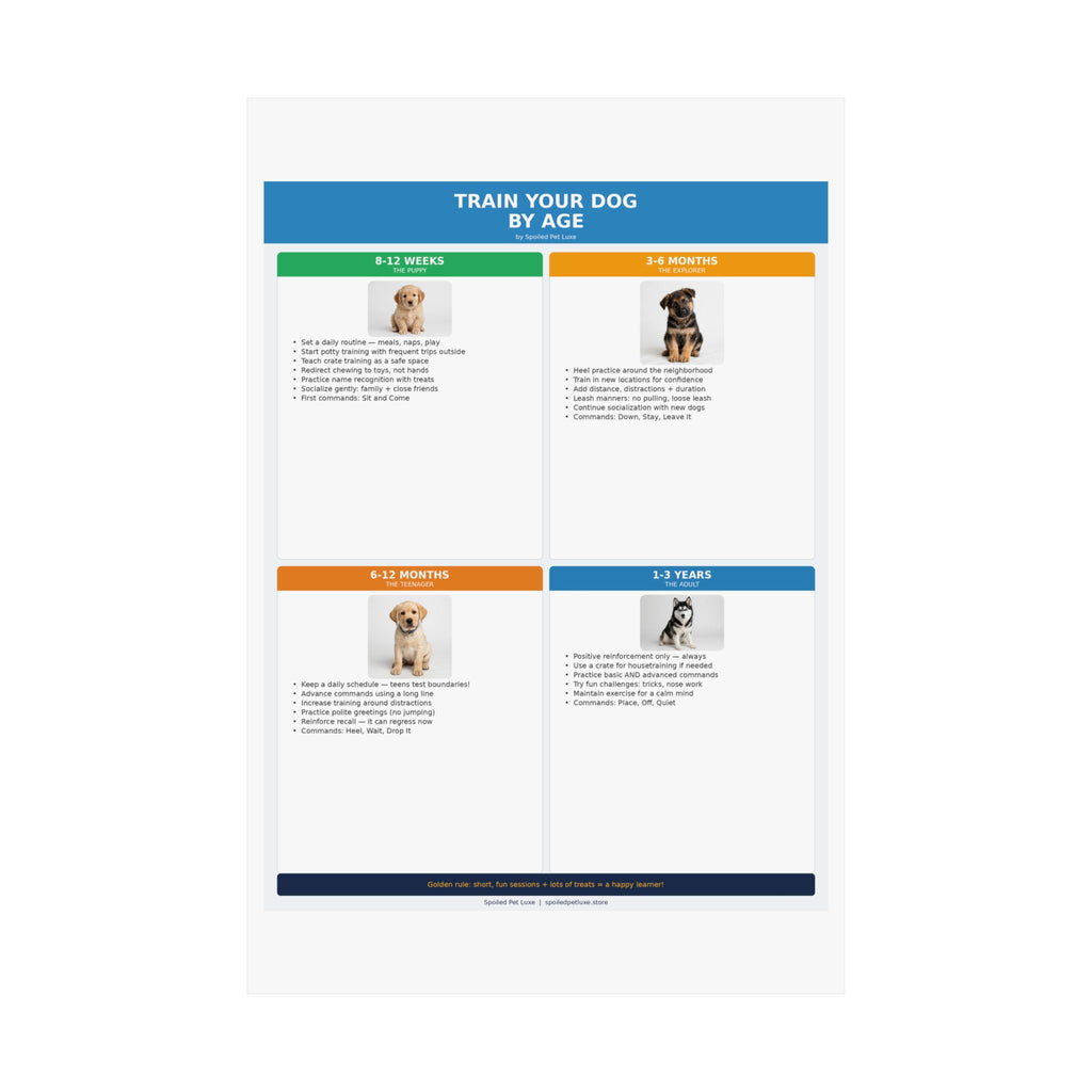Train Your Dog By Age Poster