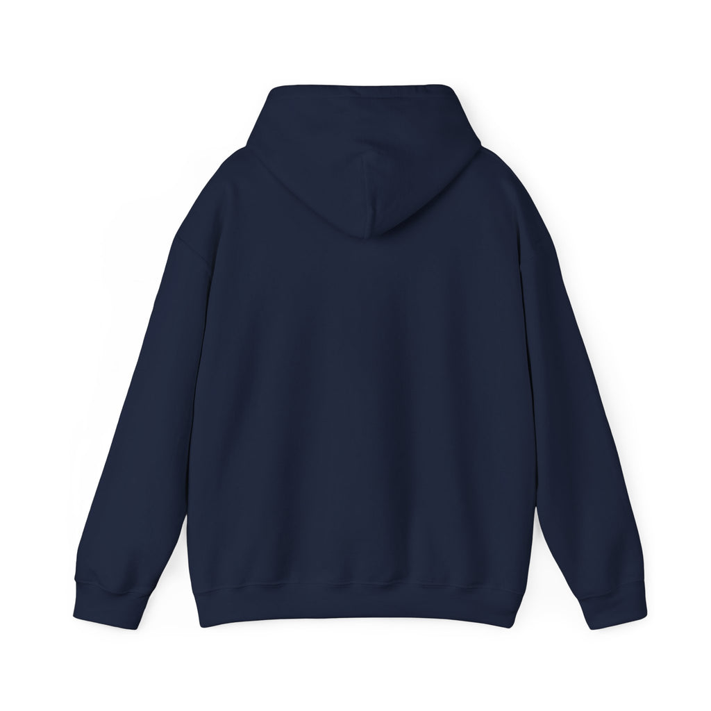 8 Ball and 9 Ball Face-Off Hoodie, Flaming Pool Balls Billiards Sweatshirt | Spoiled Pet Luxe