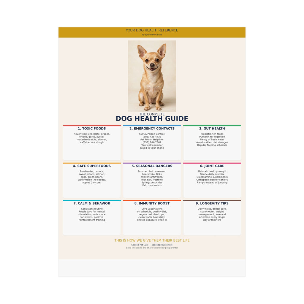 Dog Health Reference Guide Poster - Chihuahua Edition
