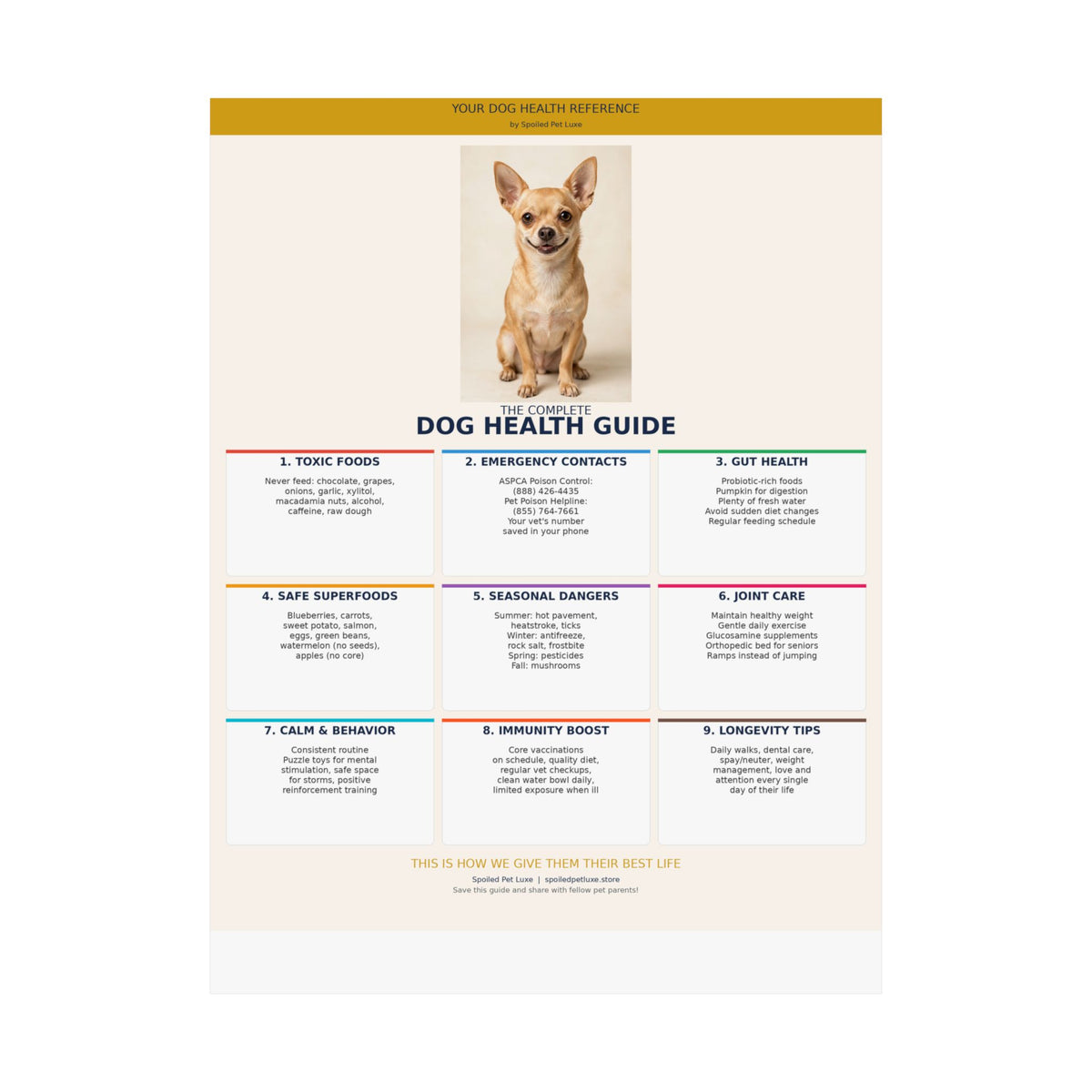 Dog Health Reference Guide Poster - Chihuahua Edition