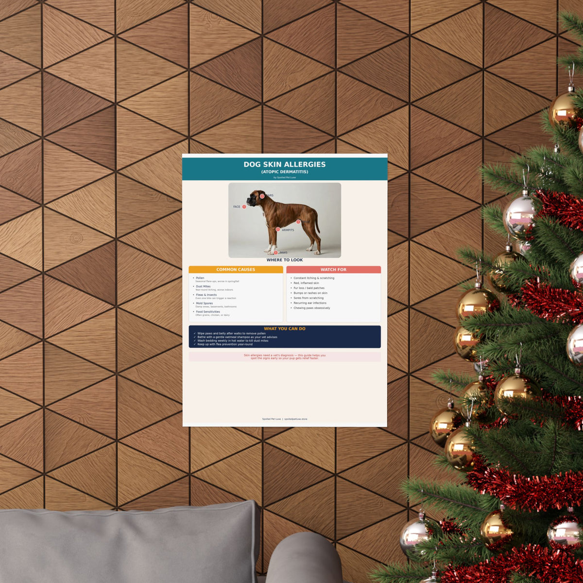 Dog Skin Allergy Guide Poster
