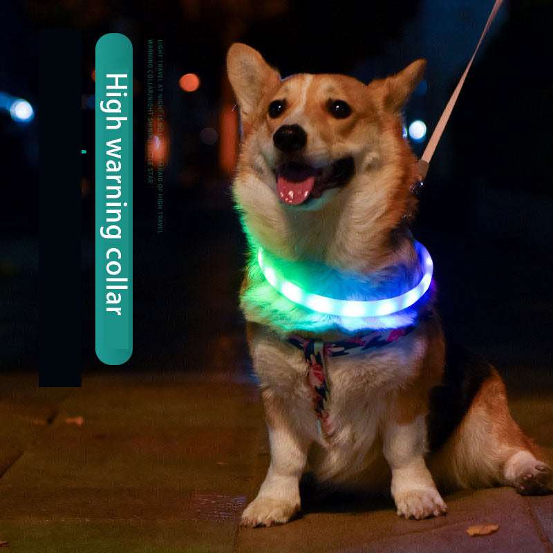 LED dog collar by eprolo with USB charging, glowing blue light