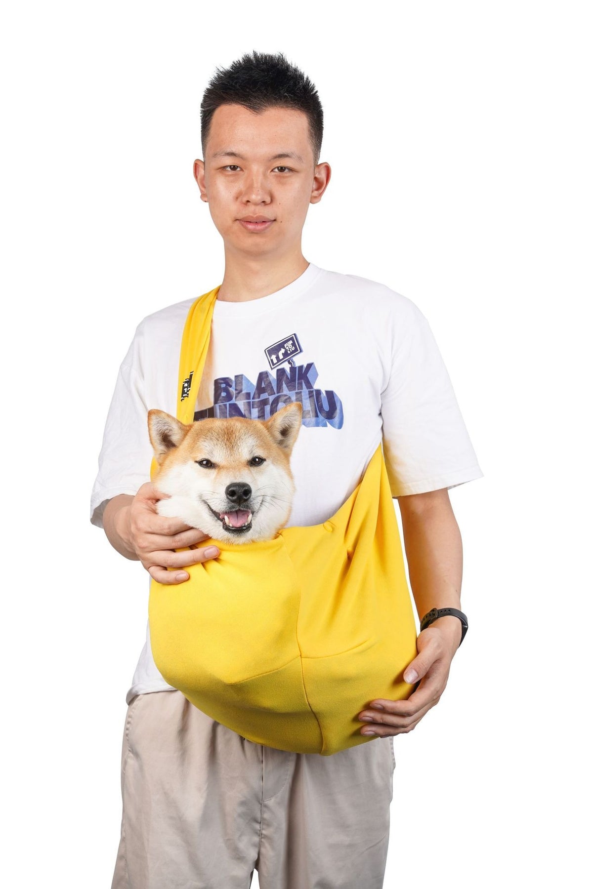 Breathable foldable carrier bag for small dogs and cats