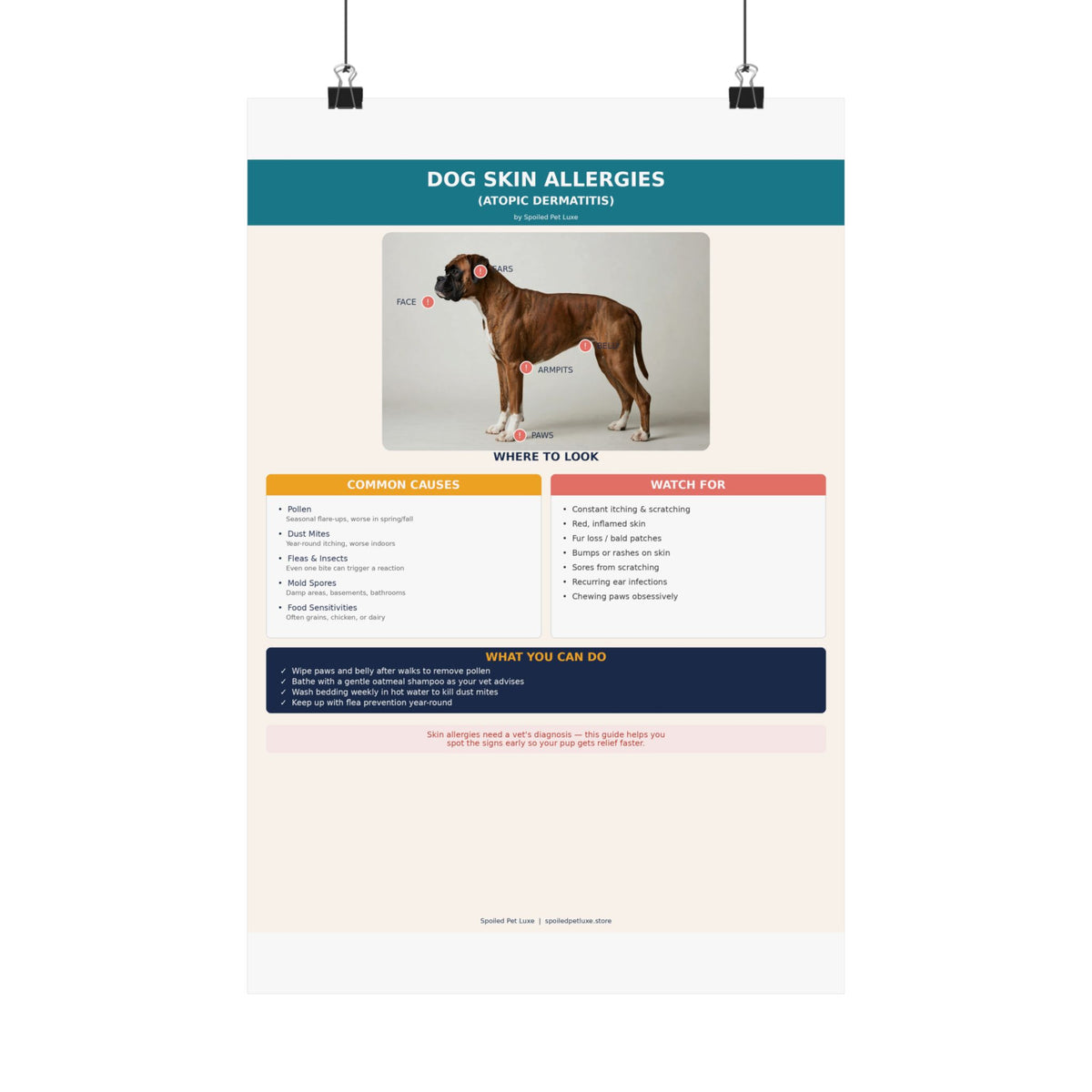 Dog Skin Allergy Guide Poster