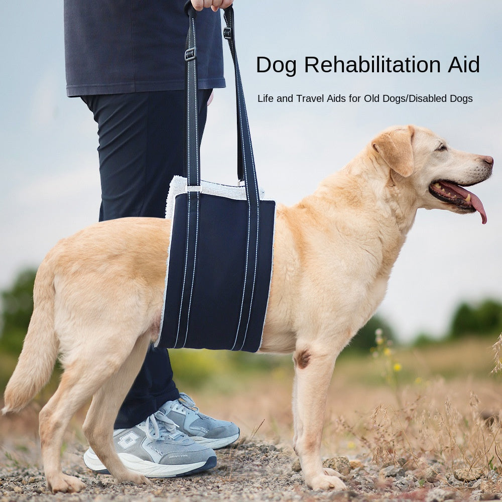Adjustable dog leash with assistance strap for supported walking