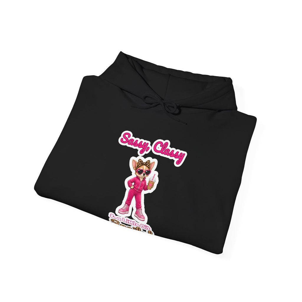 Sassy, Classy & a Little Bit Spoiled Pullover Hoodie | Spoiled Pet Luxe