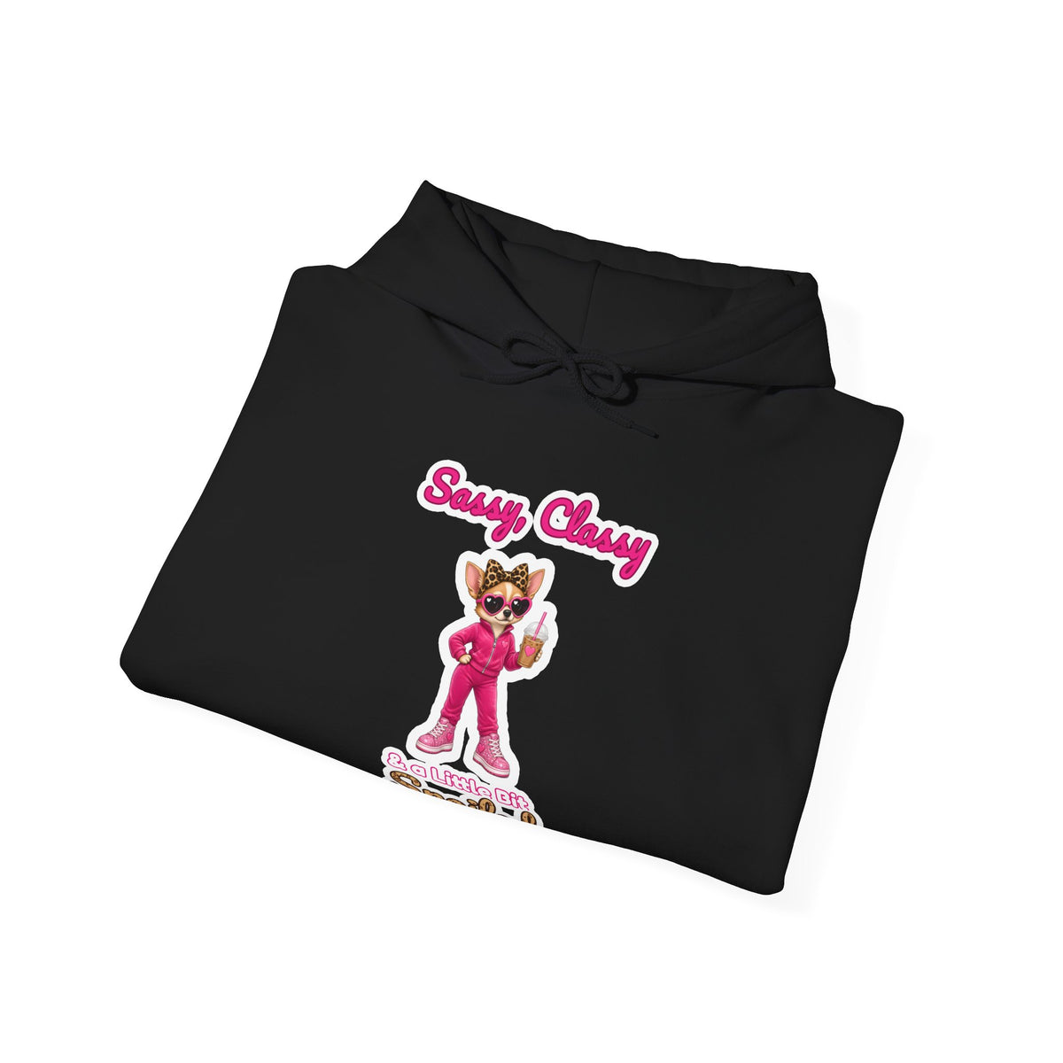Sassy, Classy & a Little Bit Spoiled Pullover Hoodie | Spoiled Pet Luxe