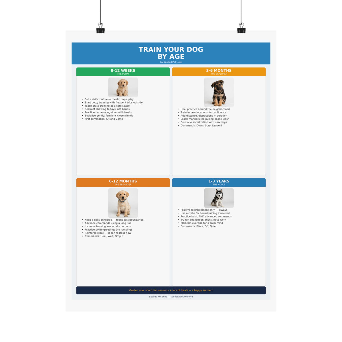 Train Your Dog By Age Poster