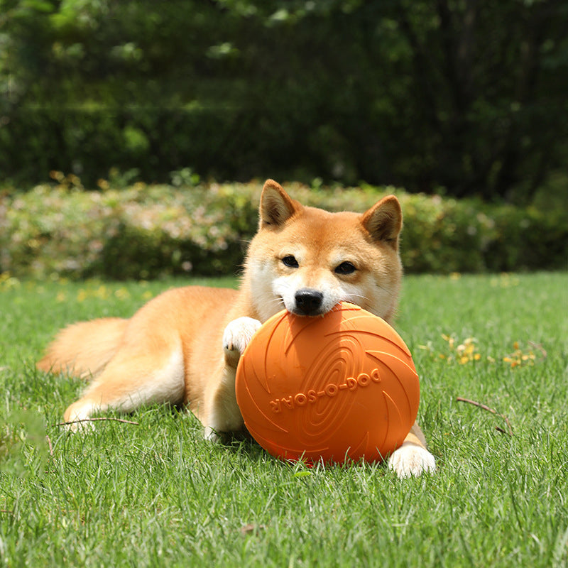 Dog Frisbee by eprolo