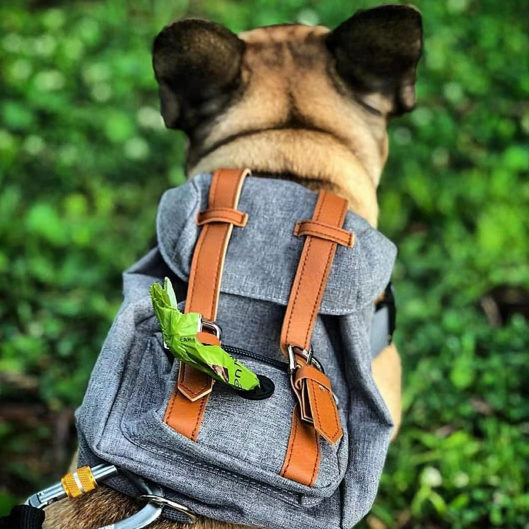 Portable Backpack for Small Dogs by eprolo
