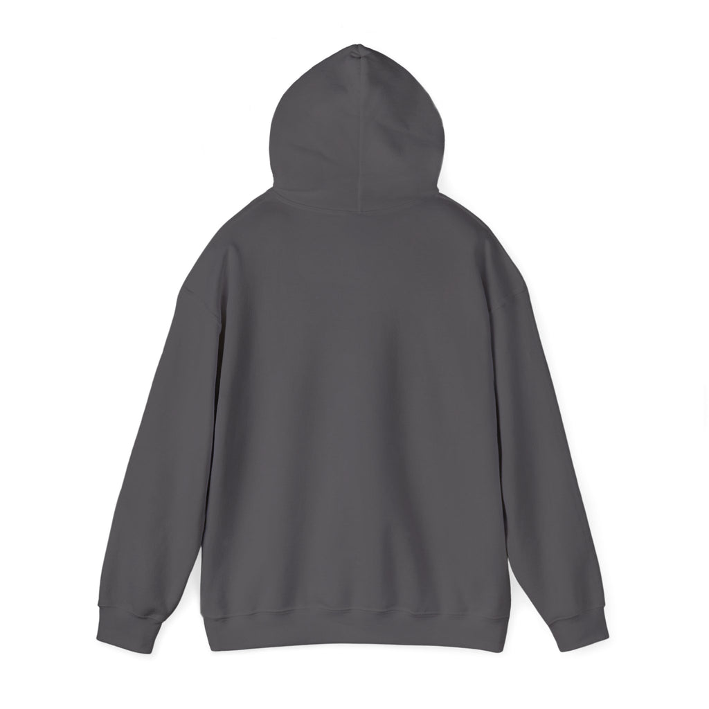 Born to Play Pool Hoodie, Flaming 8 Ball Billiards Sweatshirt | Spoiled Pet Luxe