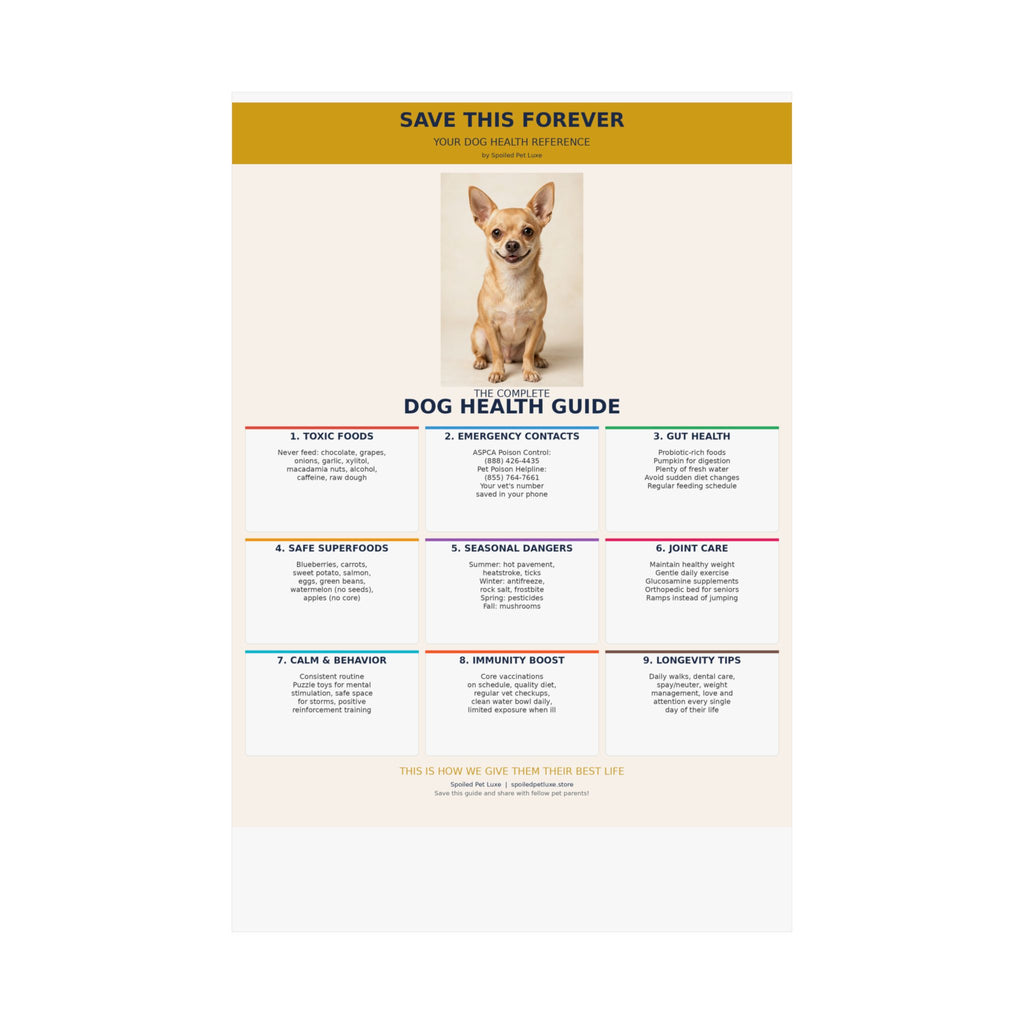Dog Health Reference Guide Poster - Chihuahua Edition