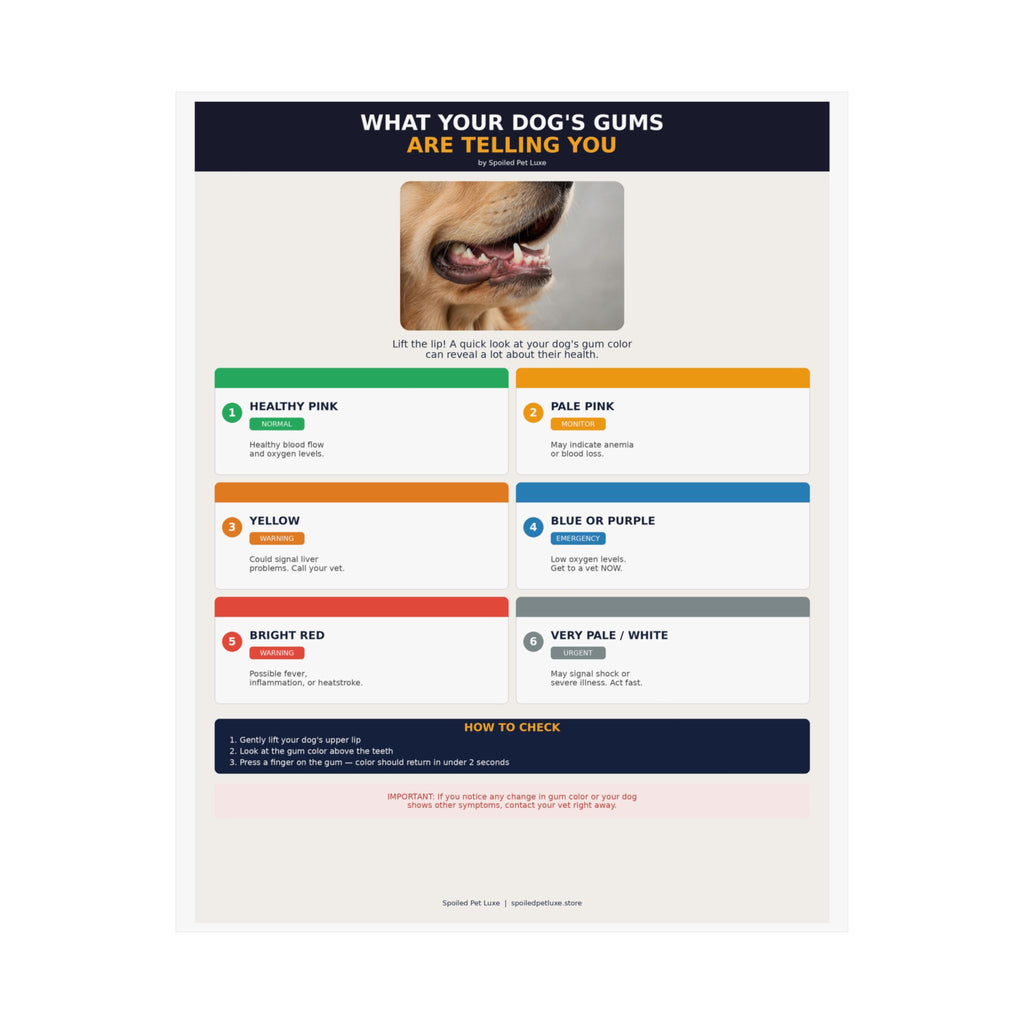 Dog Gum Health Guide Poster