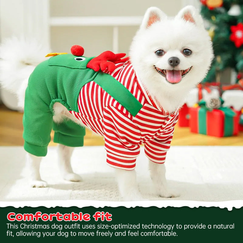 Dog Christmas coat and Santa suit; red-and-white striped shirt with green overalls for a festive fluffy white dog