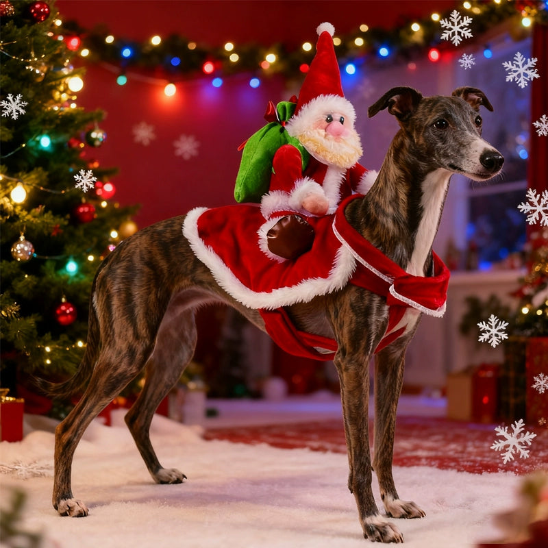 Santa Riding Dog Costume