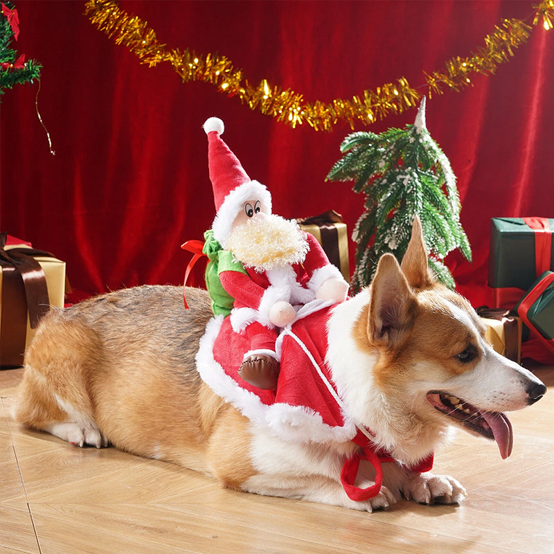 Santa Riding Dog Costume