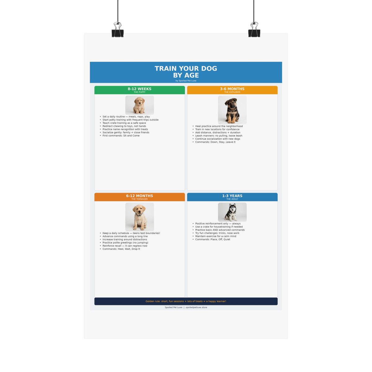 Train Your Dog By Age Poster
