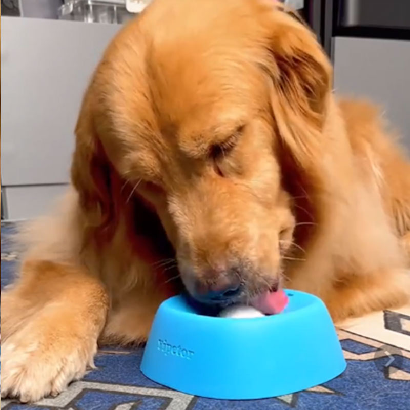 eprolo anti-choke slow feeder dog bowl, blue non-slip, 3/4 cup capacity
