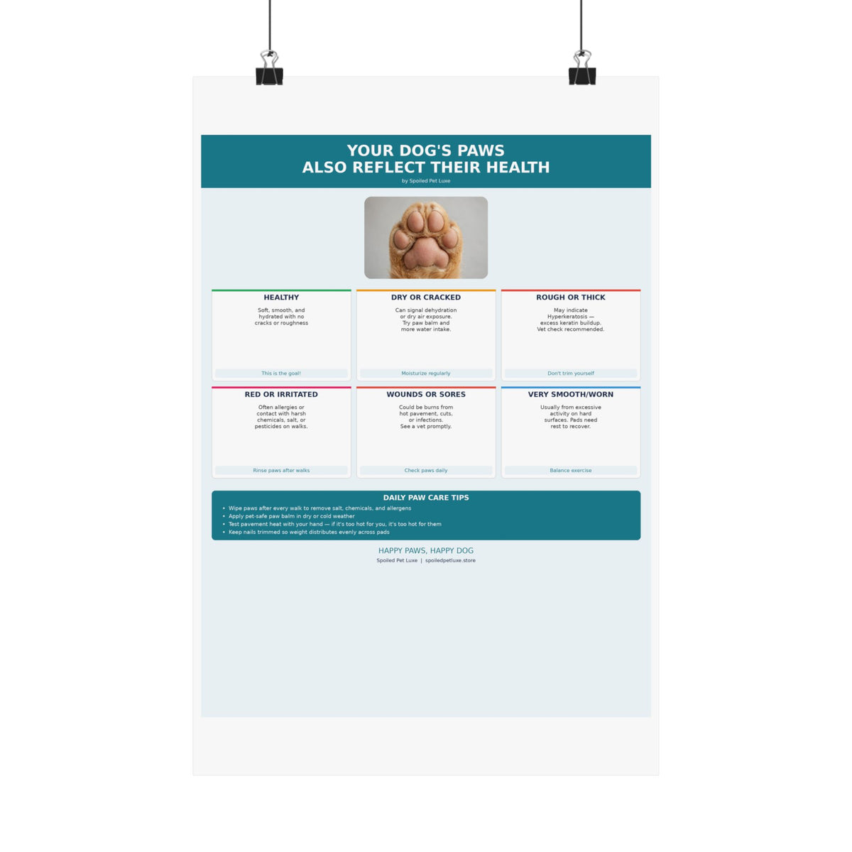 Dog Paw Health Guide Poster