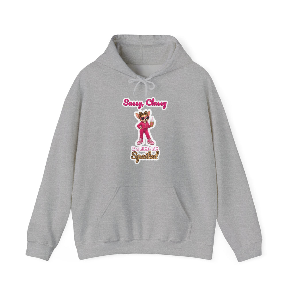 Sassy, Classy & a Little Bit Spoiled Pullover Hoodie | Spoiled Pet Luxe
