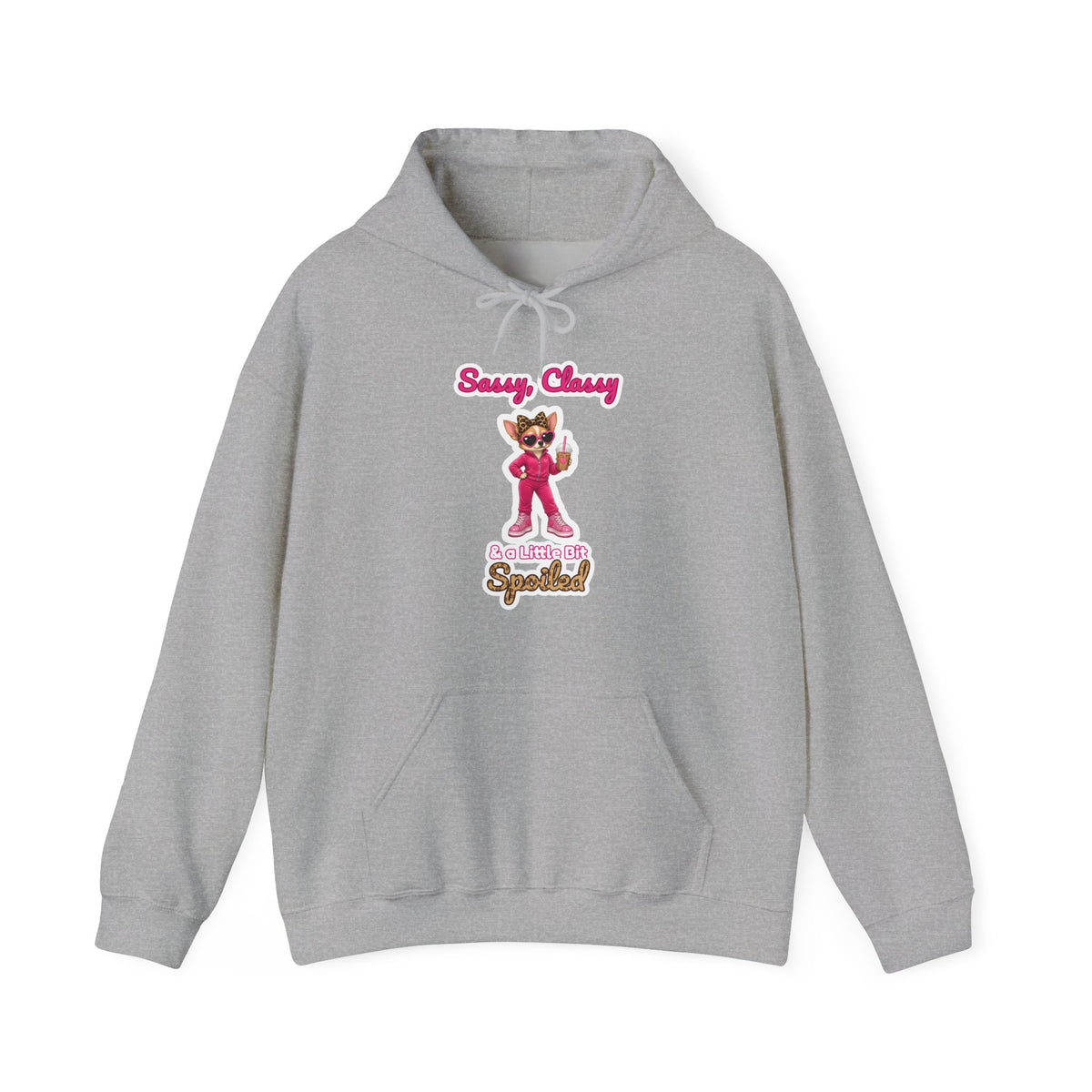 Sassy, Classy & a Little Bit Spoiled Pullover Hoodie | Spoiled Pet Luxe