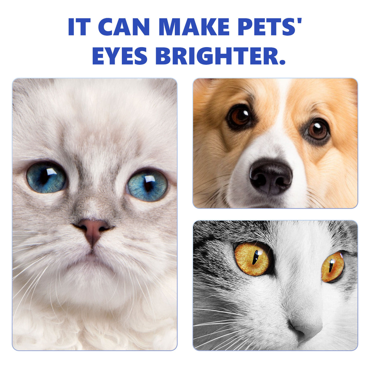 Pet Eye Wash & Tear Stain Remover by eprolo