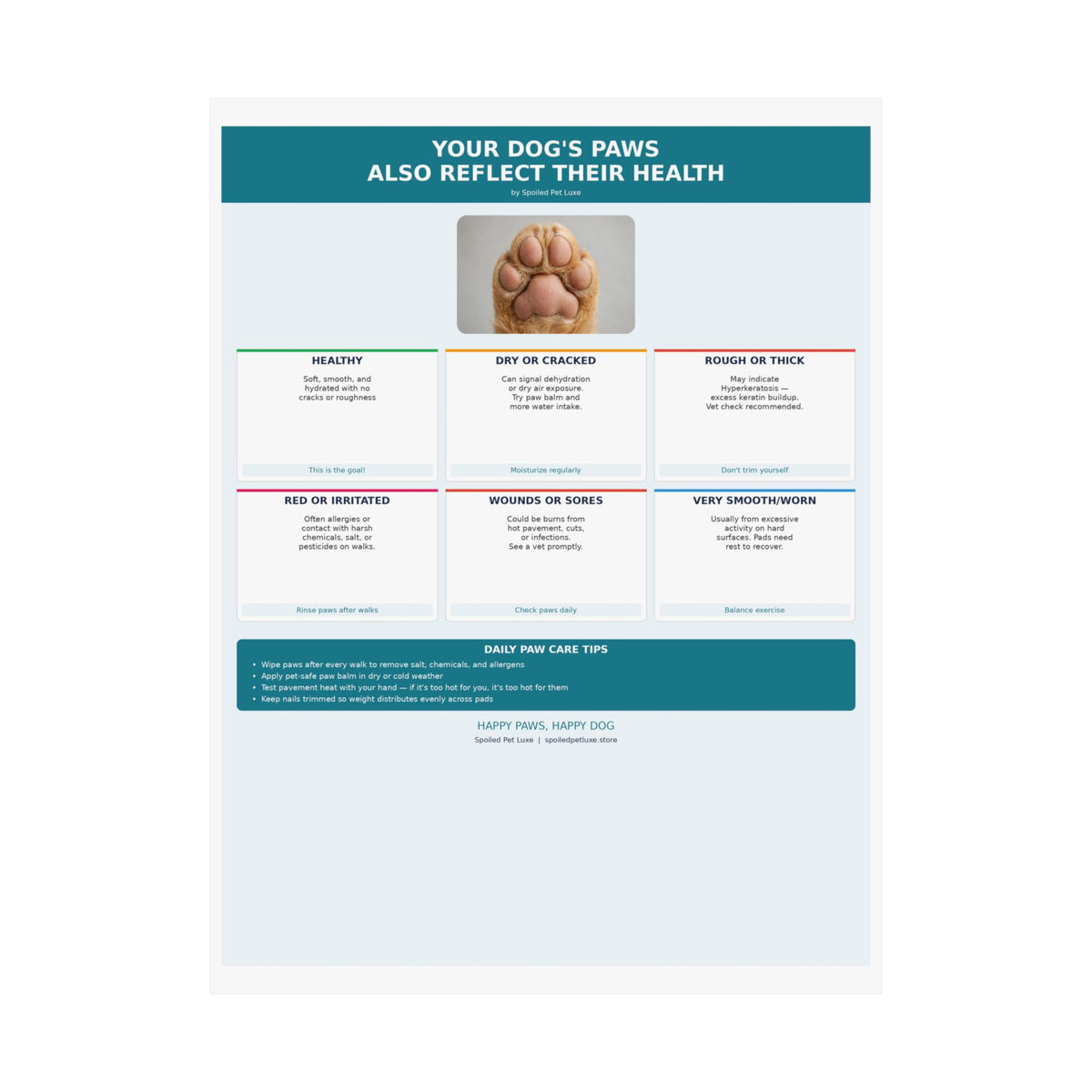 Dog Paw Health Guide Poster