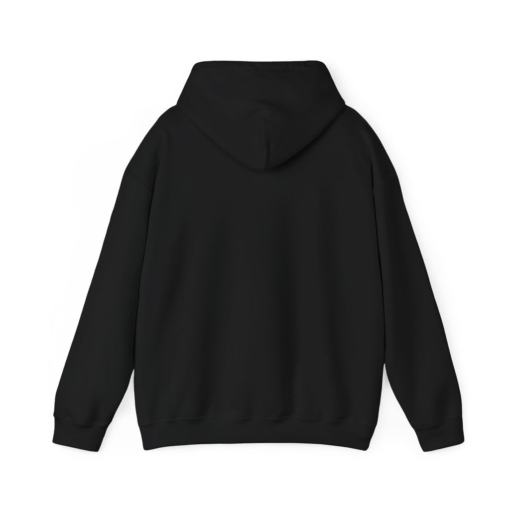 8 Ball vs 9 Ball Smash Hoodie, Fire and Lightning Billiards Sweatshirt | Spoiled Pet Luxe