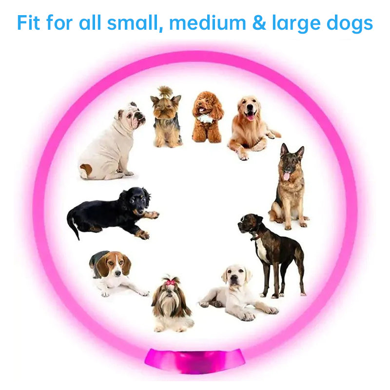 3-Mode LED Dog Collar by eprolo; USB rechargeable, detachable, glowing pink safety necklace; fits small to large dogs.
