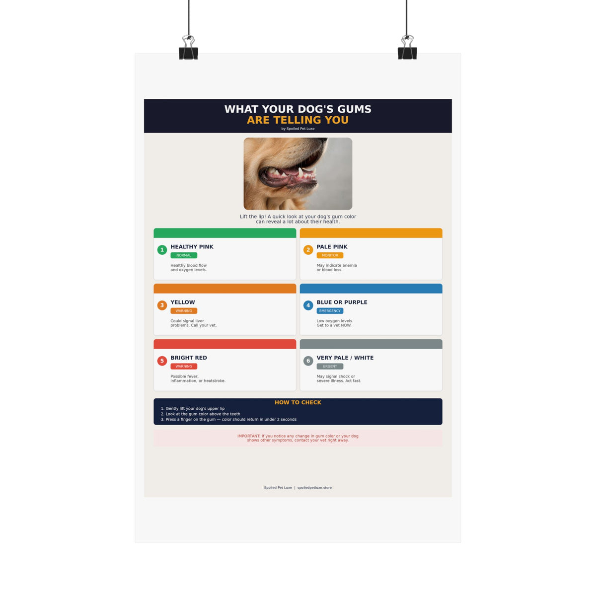Dog Gum Health Guide Poster
