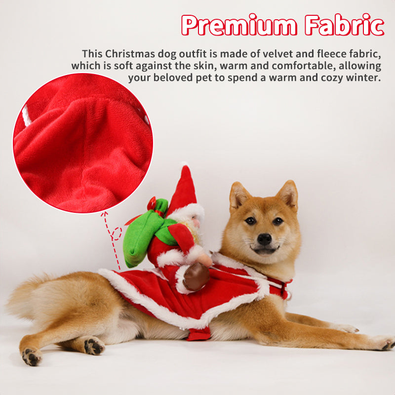 Santa Riding Dog Costume