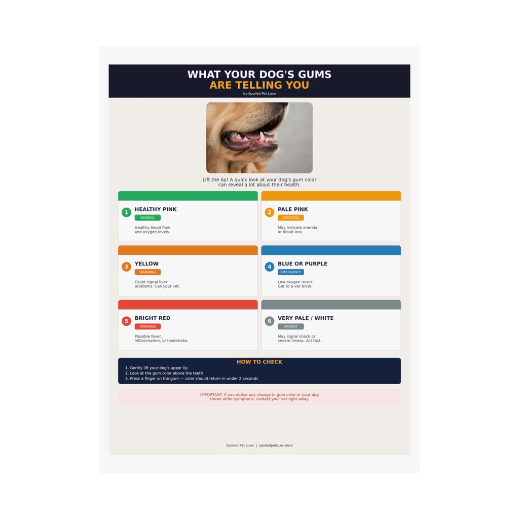 Dog Gum Health Guide Poster