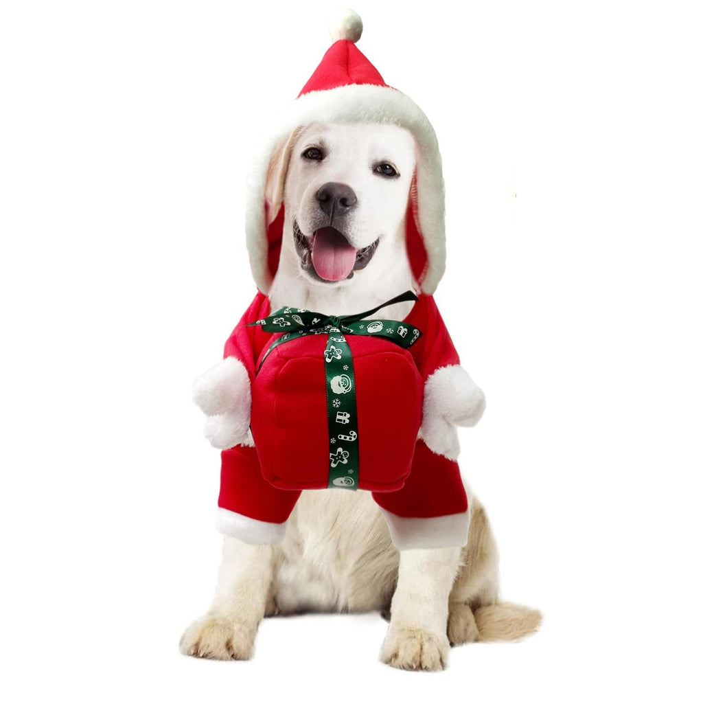 Gift-Shaped Christmas Costume for Pets