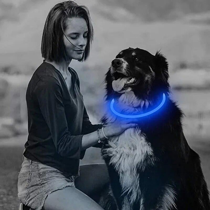 3-Mode LED Dog Collar glowing blue safety necklace on a dog beside a person.