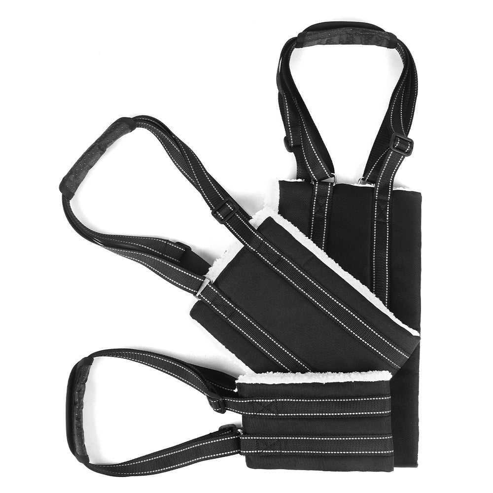 Adjustable dog leash with assistance strap for supported walking